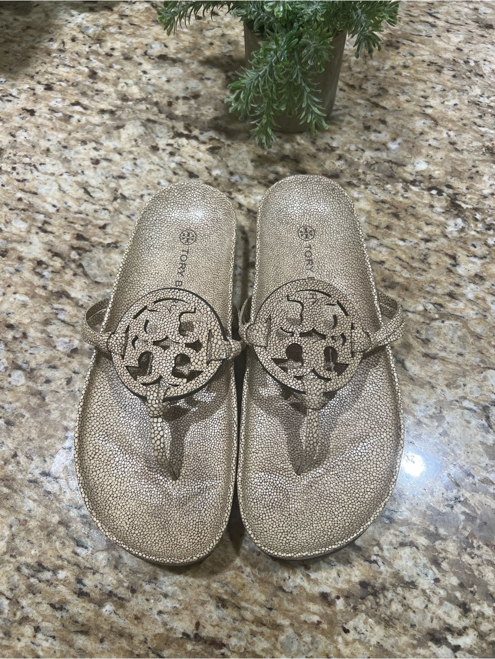 Tory Burch Stringray Cloud Miller Logo Thong Sandals